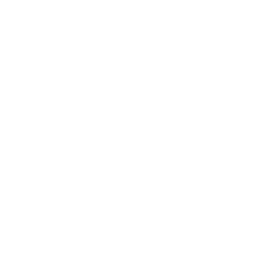 AUTONOMOUS ROBOTS
